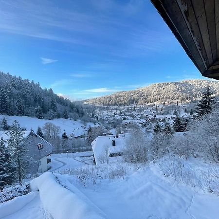 Panorama Apartment Todtmoos Buitenkant foto